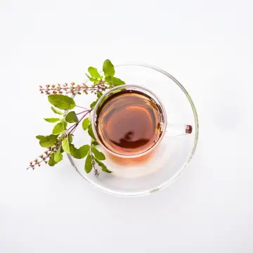 Tulsi Green